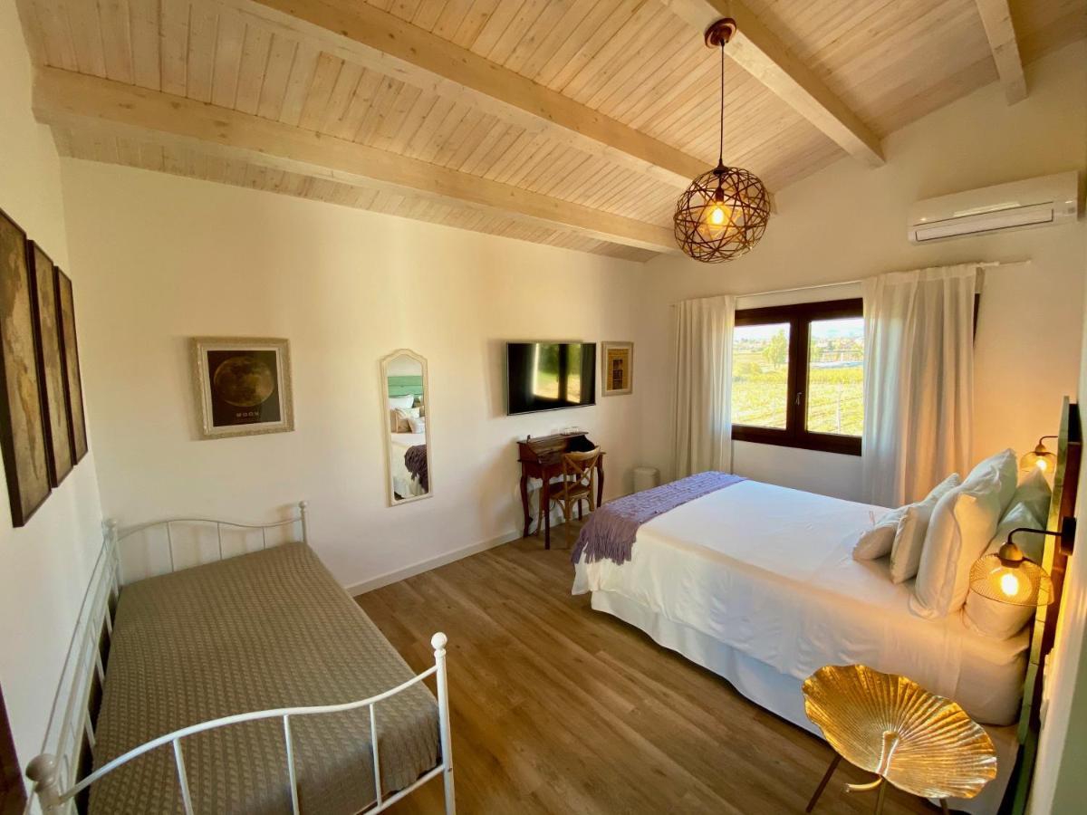 Bed & Breakfast Wine & Cooking Penedes Pla del Panadés Εξωτερικό φωτογραφία